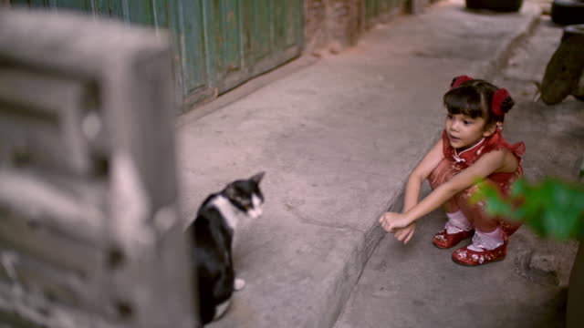 A girl plays with a cat