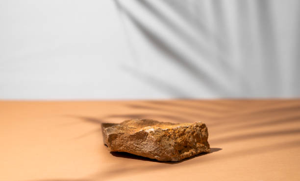istock Beige stone  on a orange  background with a shadow from a palm leaf. 1942608484