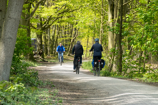 People cycling on bike path through forest near Laarder Wasmeer, Goois Nature Reserve, Hilversum, Netherlands