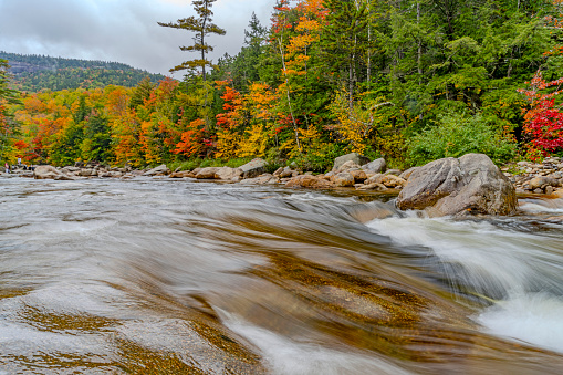 Autumnal leaf coloured forests on the Kancamagus Highway towards White Mountain.  This shows the Swift River running through the forest.