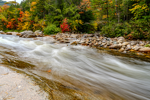 Vertical view of water at Blackwater creek river in Davis, West Virginia in state park with colorful autumn fall maple tree foliage background