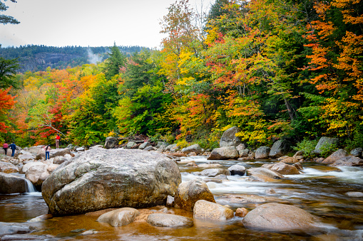 Autumnal leaf coloured forests on the Kancamagus Highway towards White Mountain.  This shows the Swift River running through the forest.