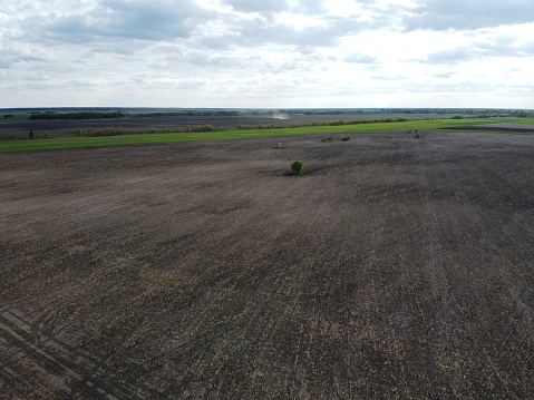 Small trees in the middle of arable fields, aerial view. Agricultural landscape.