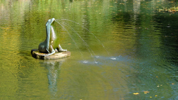 Welcoming Frog Statue at the entrance