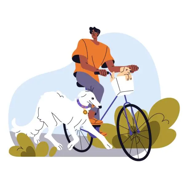 Vector illustration of Owner walks dog, carries cute puppy in bike basket. Cyclist strolls his pets during rides bicycle. Doggy lover cycling with domestic animals. Flat isolated vector illustration on white background