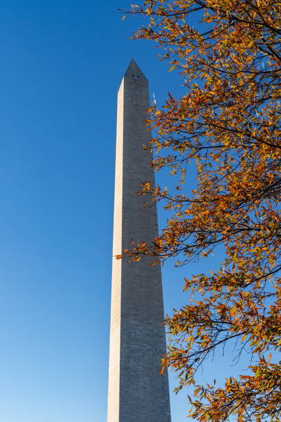 istock Fall leaves at the Washington Monument USA 1942755491