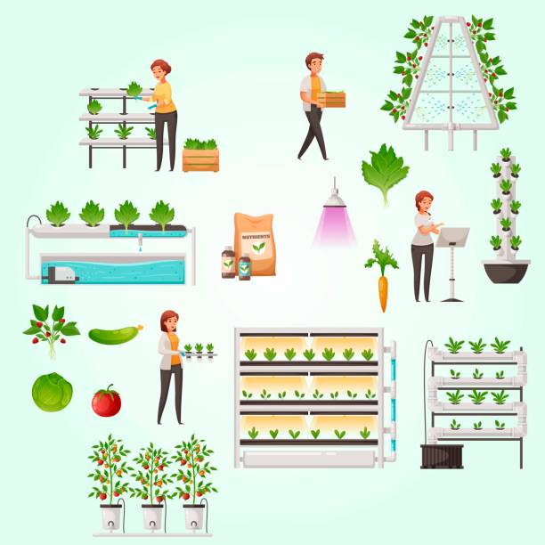 Aeroponik - Latar Belakang Aeroponik