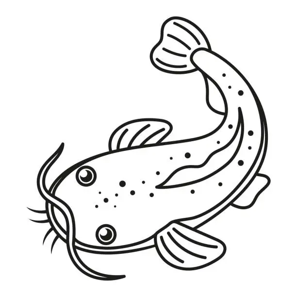 Vector illustration of black and white cartoon catfish