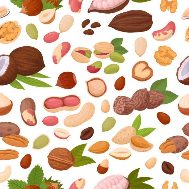 Vector illustration of Almond, peanut and walnut seamless pattern. Seeds and nuts endless design, cocos and hazelnut flat vector background illustration