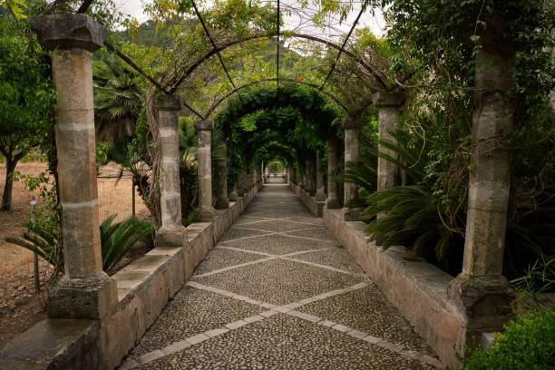 istock alfabia gardens tunnel in mallorca 1942811977