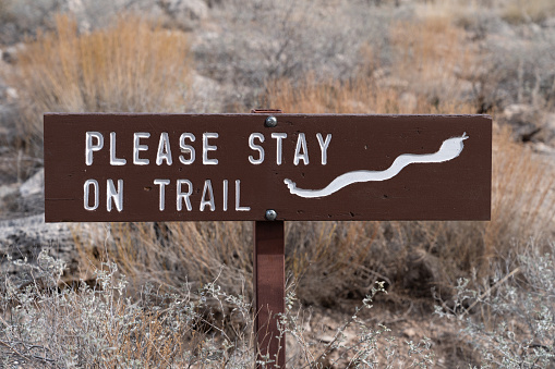 Close up of sign for Pleasant Hill Trail in Tuskegee National Forest