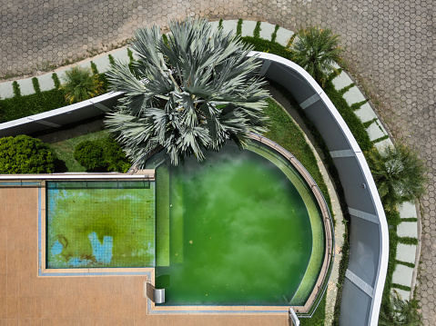 Top view of greenish dirty swimming pool