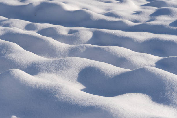 snow landscape - schneelandschaft - fotografias e filmes do acervo