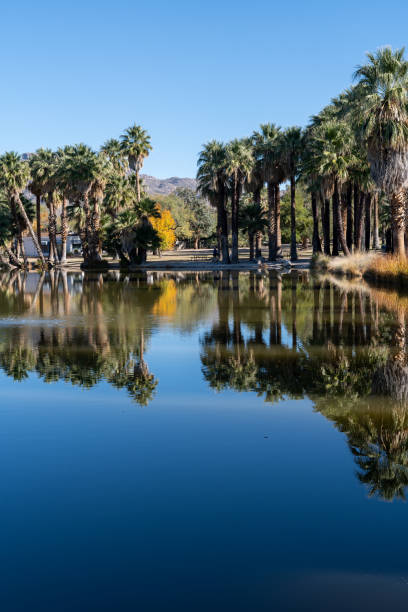istock Agua Caliente Regional Park - Tucson Arizona 1942863519