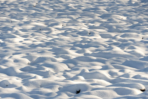 snow landscape - schneelandschaft - fotografias e filmes do acervo