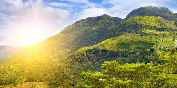 istock Mountains, tropical vegetation and bright sunrise. Sri Lanka. 1942894930