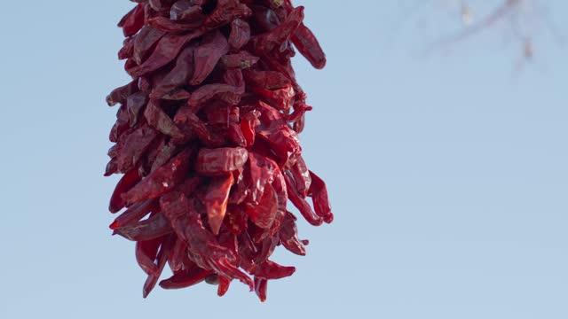 Chili peppers hanging to dry in downtown Santa Fe, New Mexico with stable video shot close up.