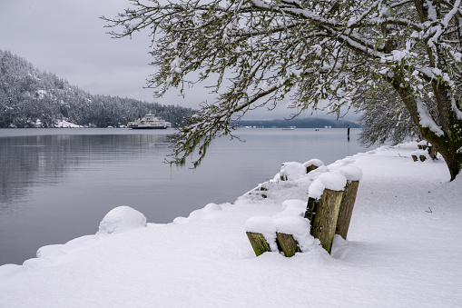 Winter at Fulford Harbour on Salt Spring Island, BC Canada