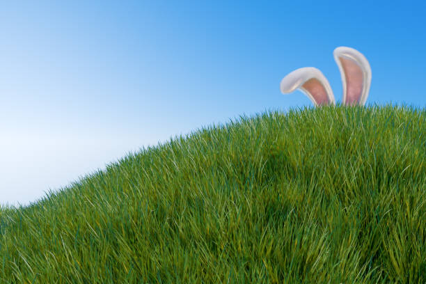 istock Happy easter. Rabbit ears stick out from a hill in a meadow in the grass. 3D rendering 1942925703