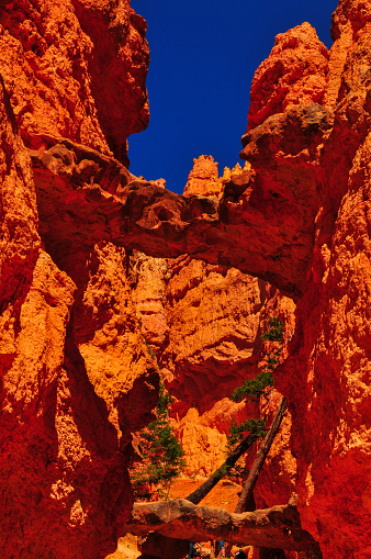 The Two Bridges of the Navajo Loop trail, Bryce Canyon National Park, Utah, Southwest USA.