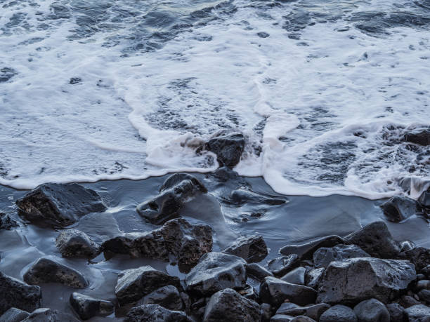istock beach with black volcanic sand on  Tenerife 1942932971