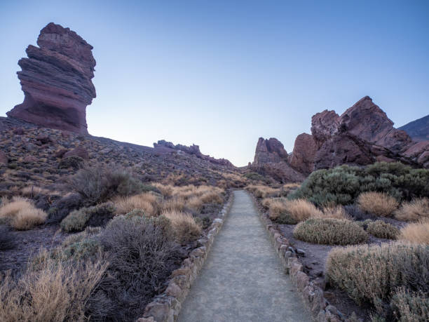 istock Landscape of Teide National Park 1942933108