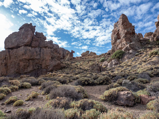 istock Landscape of Teide National Park 1942933237