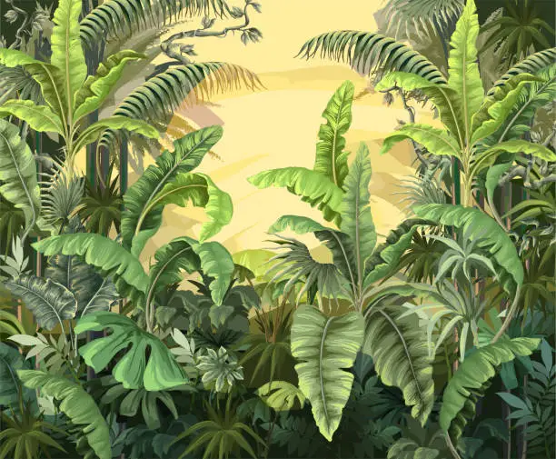 Vector illustration of Interior jungle mural with banana and palm trees. Vector.