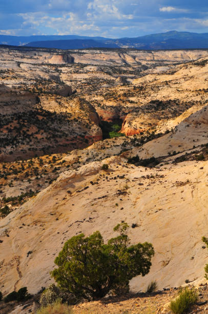 istock The sandstone Calf Creek Canyon from The Hogback 1942937935