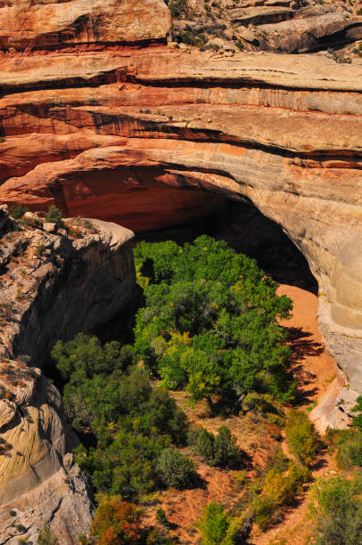 High angle view of Kachina Bridge
