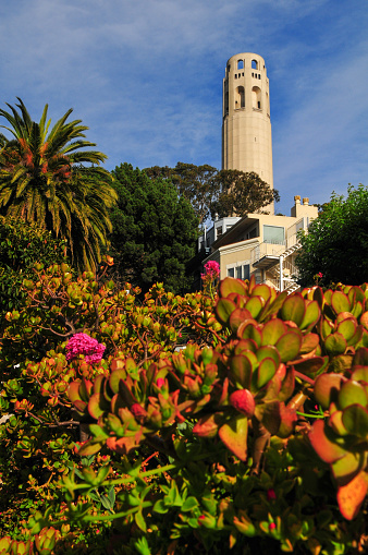 A colorful view of the Coit Tower, Telegraph Hill, San Francisco, California, USA.
