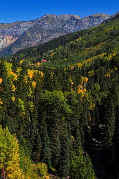 istock Early autumn foliage above Canyon Creek 1942941199