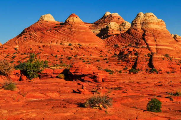 istock Sandstone formations in Coyote Buttes North 1942941744
