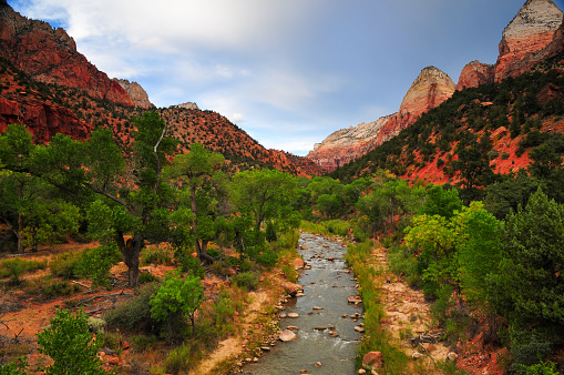 The Virgin river and Zion canyon upstream from the bridge, Zion National Park, Utah, Southwest USA.