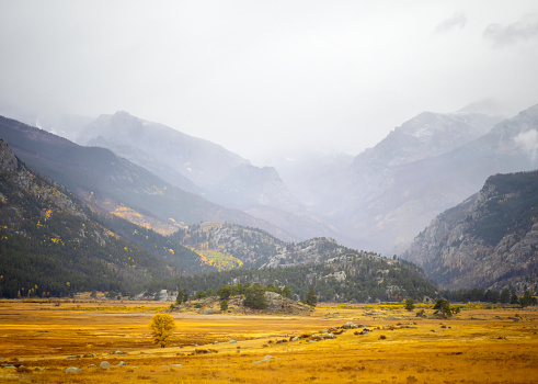 Fog, foliage and all kinds of colors covered Rocky Mountain National Park. Splendid!