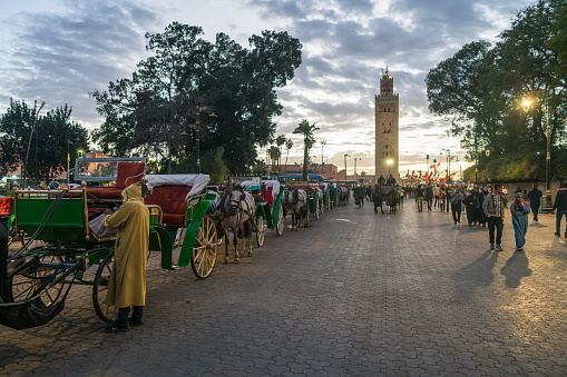 Marrakech, Morocco - January 4, 2024: Jemaa el-Fnaa viwe, horse carriages are waiting for tourists at medina of Marrakesh. Minaret de la Koutoubia in the background.