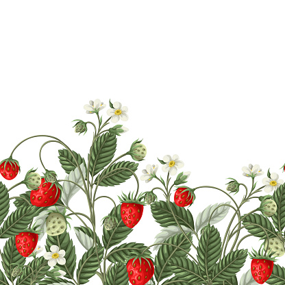 Border with wild strawberries. Vector