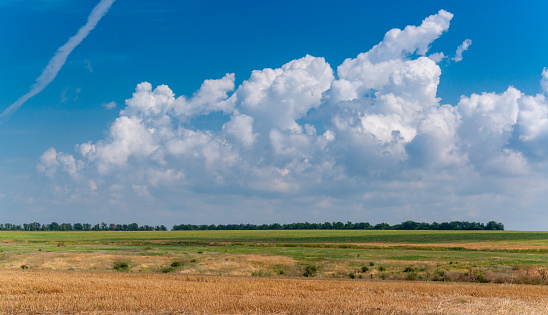Natural landscape, White cumulus clouds over a wheat field, Ukraine