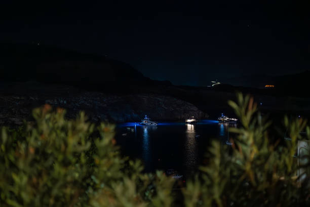 Expensive yachts are moored in the bay at night.