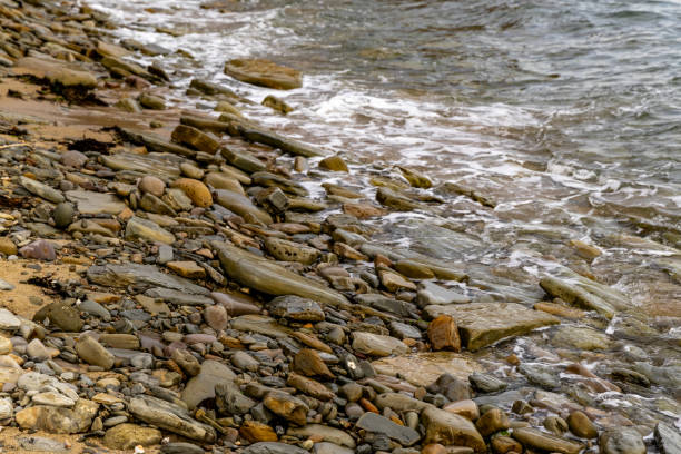 shore of a wild beach with stones