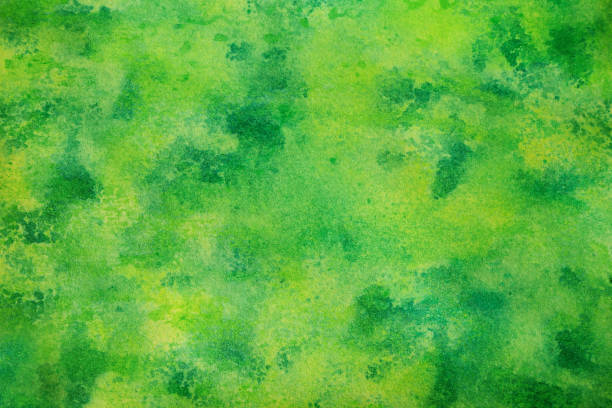 Bright green yellow lime abstract watercolor pattern. Color. Artistic background. Daub, stain, splash, water, paint, liquid. Grunge.