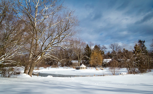 A winter scene at Prophecy Creek Park