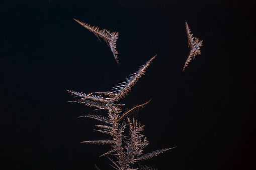 Macro photo of ice crystals grown around a frozen waterdrop, with dark background.