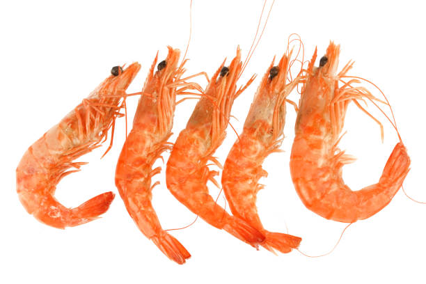 Shrimp  simply offered on a wooden spoon isolated on a white background