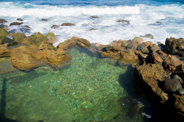 istock Wave is flashing in Puerto Rico beach 1943135355
