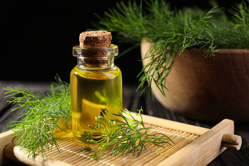 Bottle of essential oil and fresh dill on table, closeup