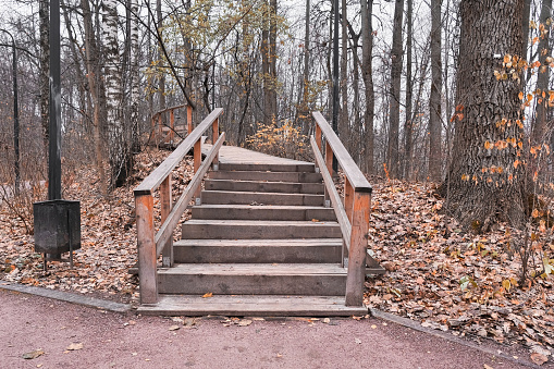 wooden ladder for climbing to a hill in an autumn park with yellow fallen leaves