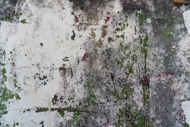 istock Grunge old concrete wall  with cracks. Abstract texture, background 1943154117