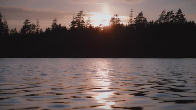 Sun reflection in calm lake with pine trees in Sweden