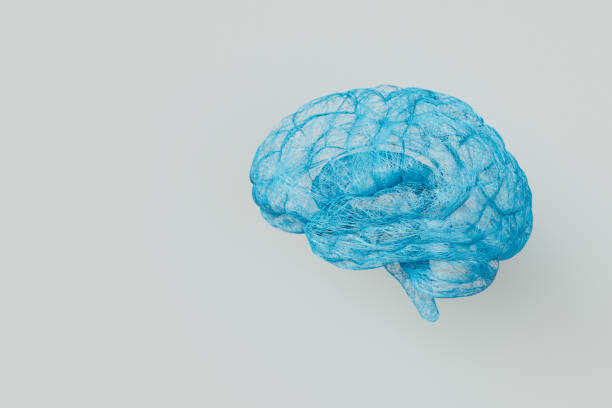 3D human brain made of fine strings representing mental health or complex network of neurons in the brain.